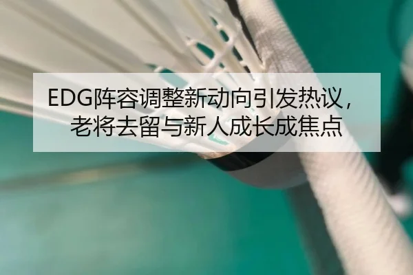 EDG阵容调整新动向引发热议，老将去留与新人成长成焦点 | Kering